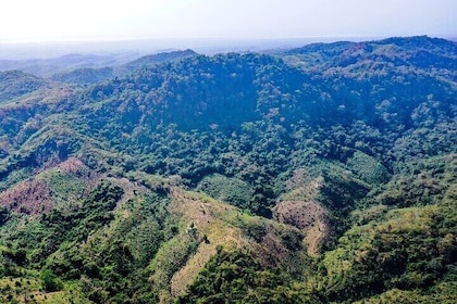 Private Hike to Wildlife Wonders at Parrot Mountain of Villanueva