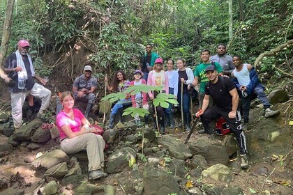 Monkey’s Creek: An Extreme Tropical Forest Hiking Adventure