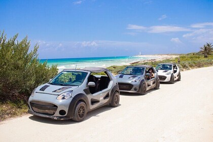 Private Buggy Tour and Punta Sur Park in Cozumel: All-Inclusive