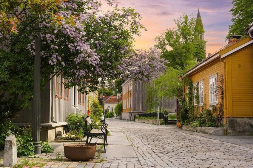 Trondheim’s Eternal Love Trail Private Walking Tour