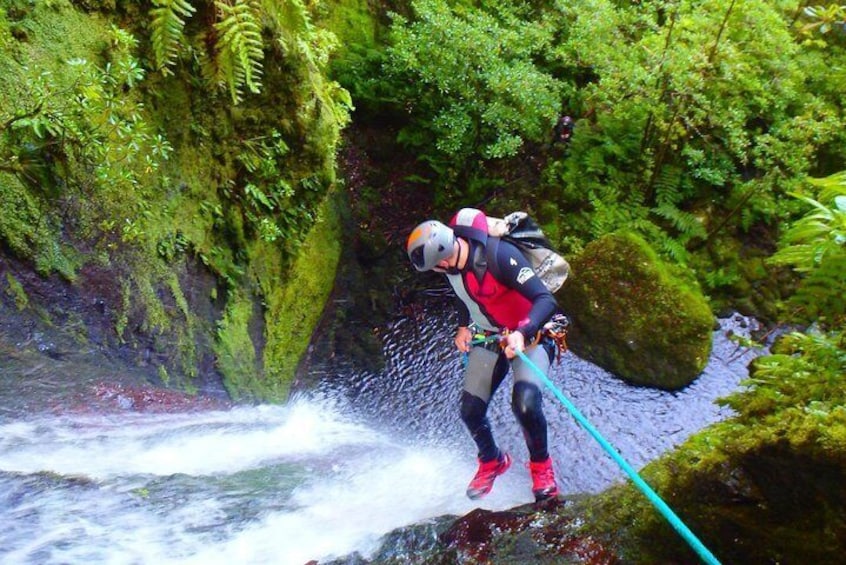 Abseiling down a waterfall in the unique Laurel Forest of Madeira