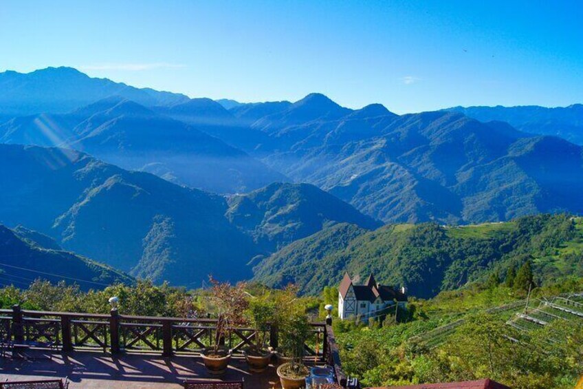 Qingjing Farm &Gaomi Wetlands Shared Day Tour: From Taichung.