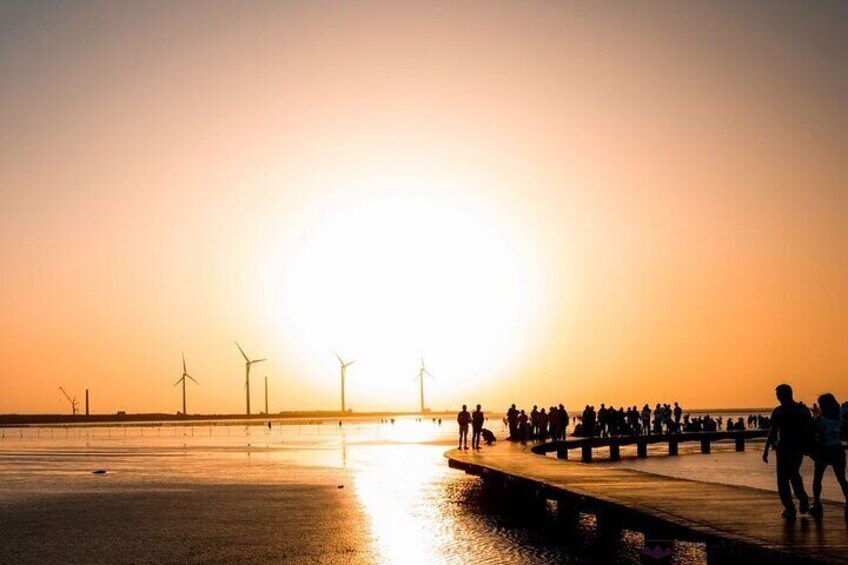 Qingjing Farm &Gaomi Wetlands Shared Day Tour: From Taichung.