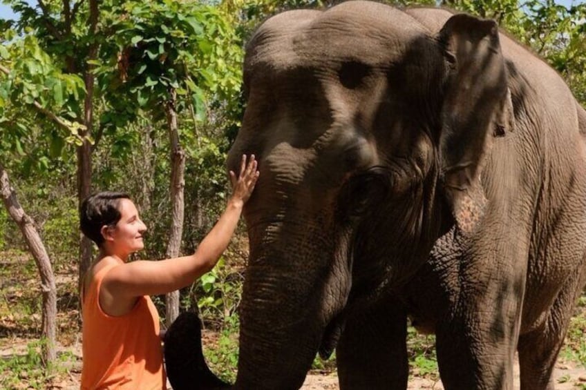 Phnom Tamoa Wildlife Rescue Center, Buddha Kiri Cambodia Day Tour