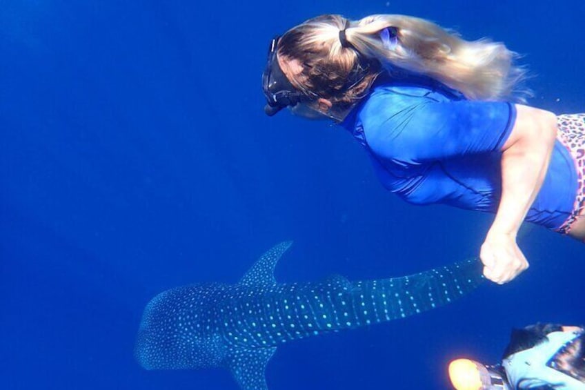 Ukulhas Tour D - Whale Shark Snorkeling & Coral Garden Tour