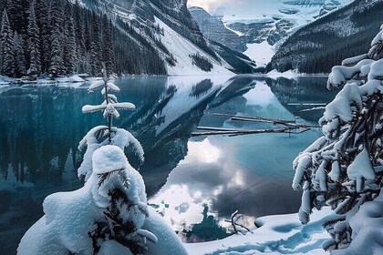 Experience Banff & Lake Louise from Calgary, Canmore & Banff