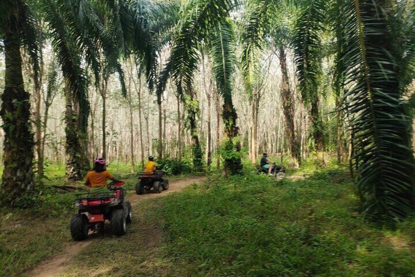 ATV Jungle Adventure in Krabi with Roundtrip Transfer