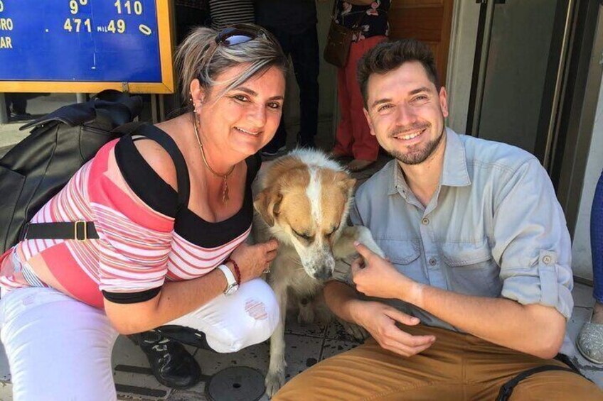 "Street Kiltro", a little dog from the streets and visitor.