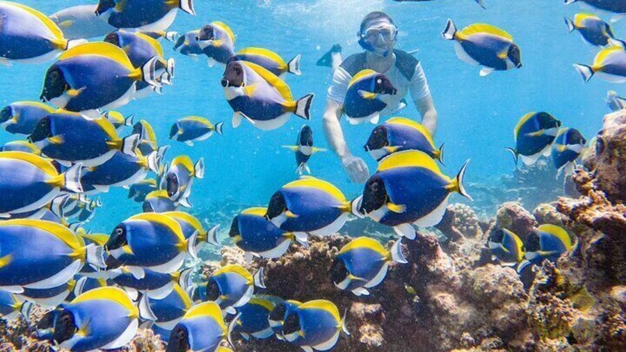 Ukulhas Tour A - 3 Points Snorkeling Tour