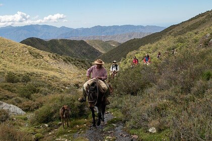 Horseback riding at sunset in the Andes
