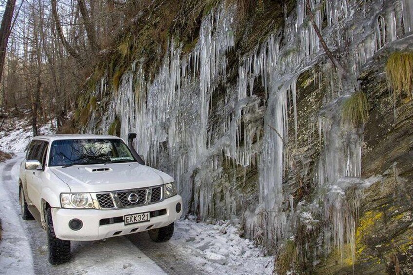 Winter icicles