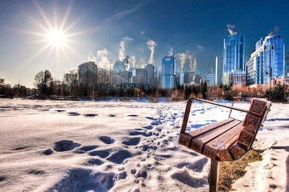 Guided Cultural and Nature Walking Tour City centre Calgary