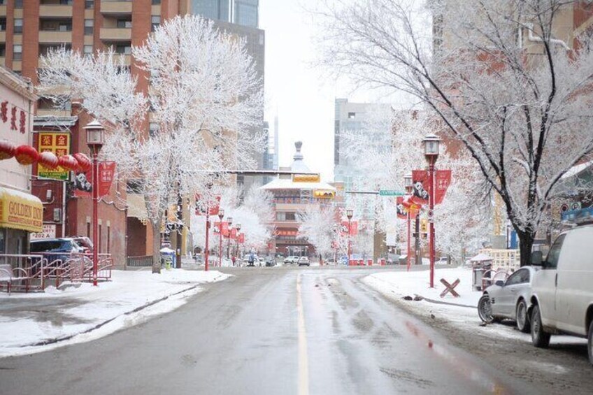 Guided Cultural and Nature Walking Tour Downtown Calgary