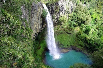 [Stevong] Hobbiton Village and Bridal Veil Falls Private Tour