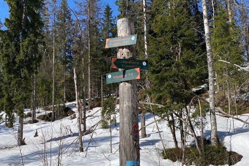Cross-Country Skiing with Fireside “Kos”