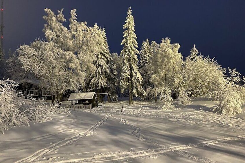 Cross-Country Skiing with Fireside “Kos” 