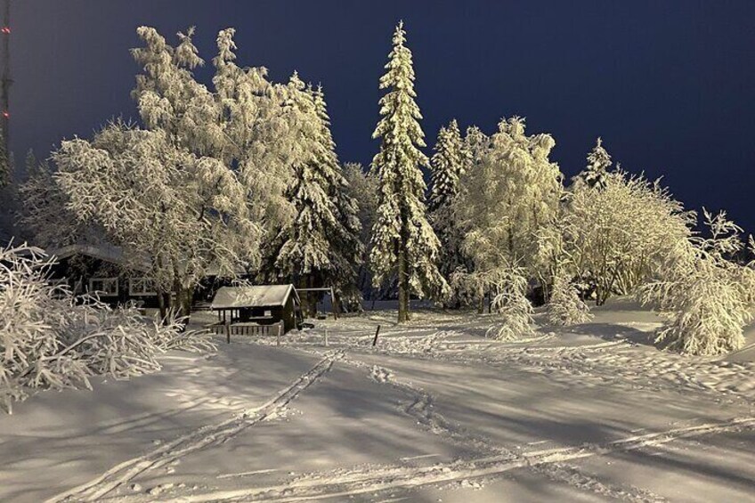 Cross-Country Skiing with Fireside “Kos”