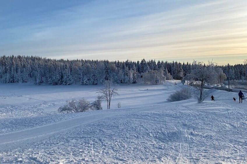 Top of Oslo/Starlight Evening Snowshoeing Tour(s)