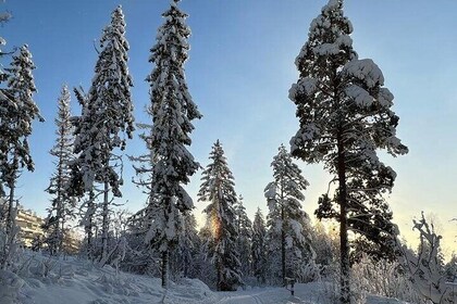 Top of Oslo/Starlight Evening Snowshoeing Tour(s)