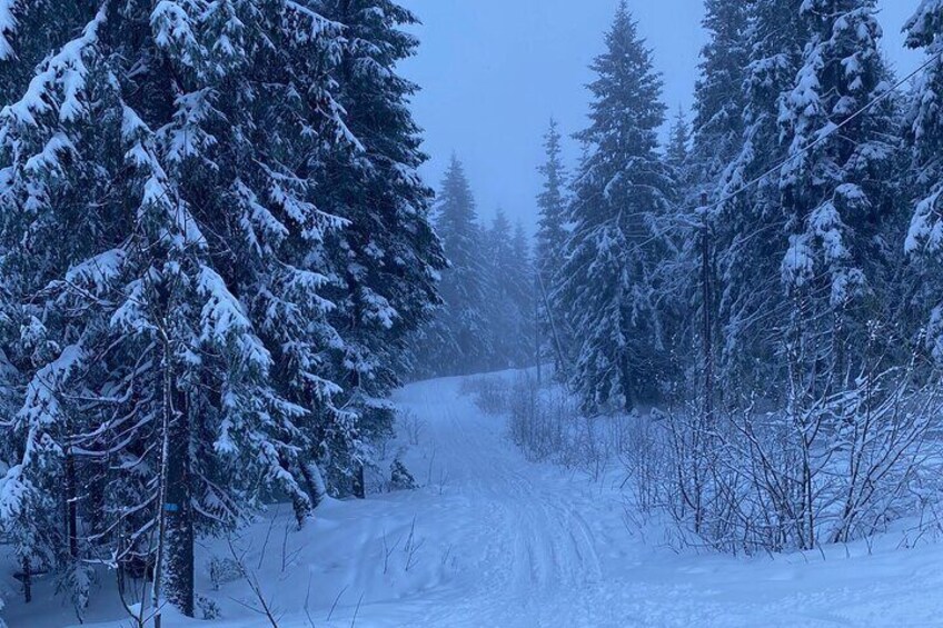 Top of Oslo/Starlight Evening Snowshoeing Tour(s)