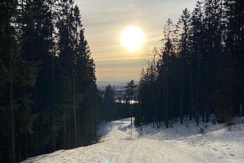 Top of Oslo/Starlight Evening Snowshoeing Tour(s)