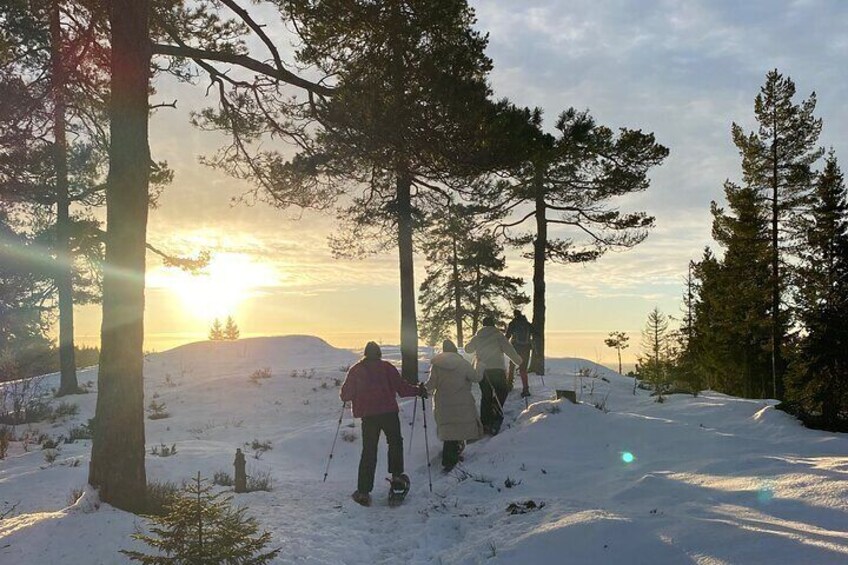 Top of Oslo Snowshoe Tour