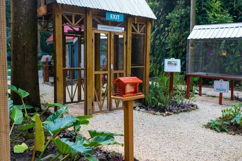 Various holding areas in the bird aviary