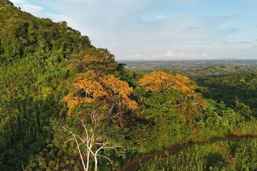 Countryside Horseback Riding Eco-Adventure Near Cartagena