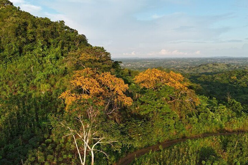 Countryside Horseback Riding Eco-Adventure Near Cartagena