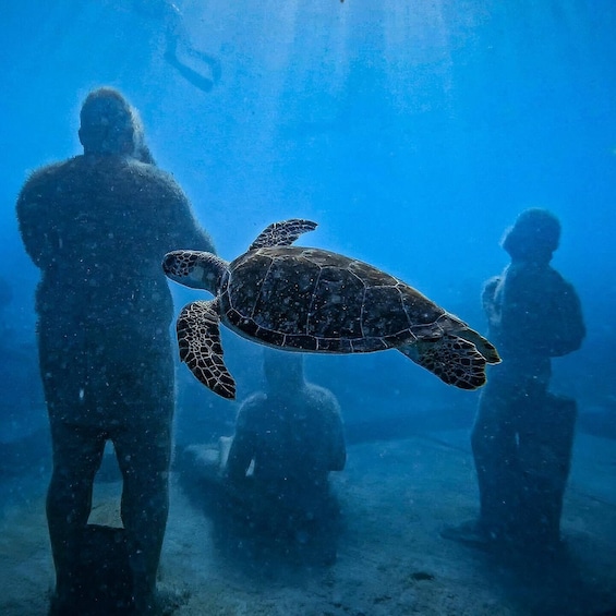 Underwater Sculpture Park Snorkel Adventure