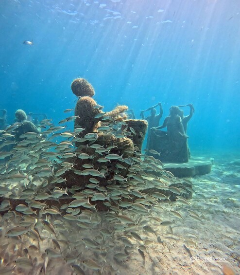 Underwater Sculpture Park Snorkel Adventure