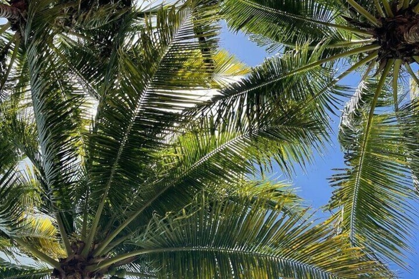 Chacchoben Mayan City and Bacalar Lagoon Combo Adventure