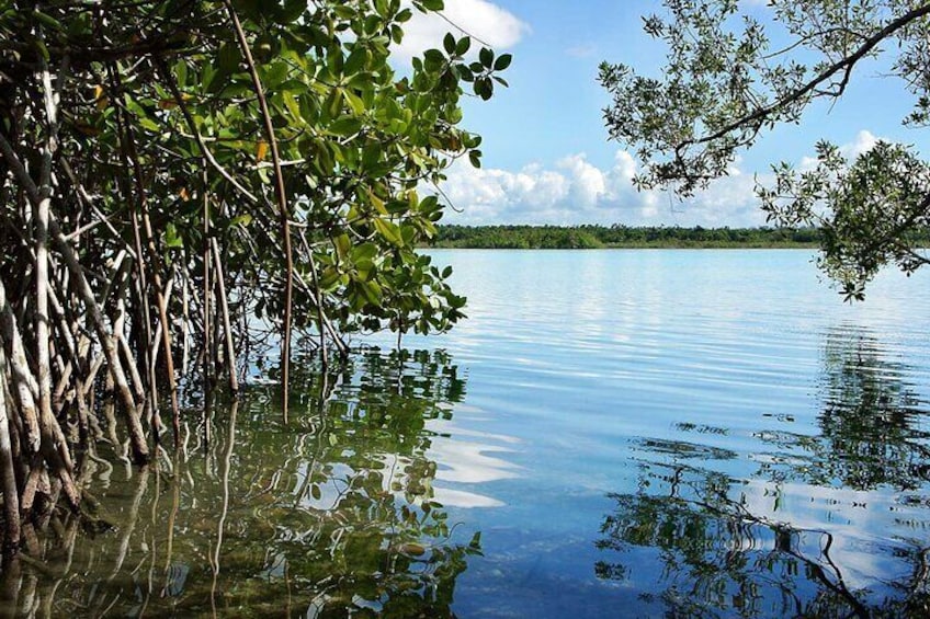 Bacalar 7 Color Lagoon Adventure from Costa Maya Port 