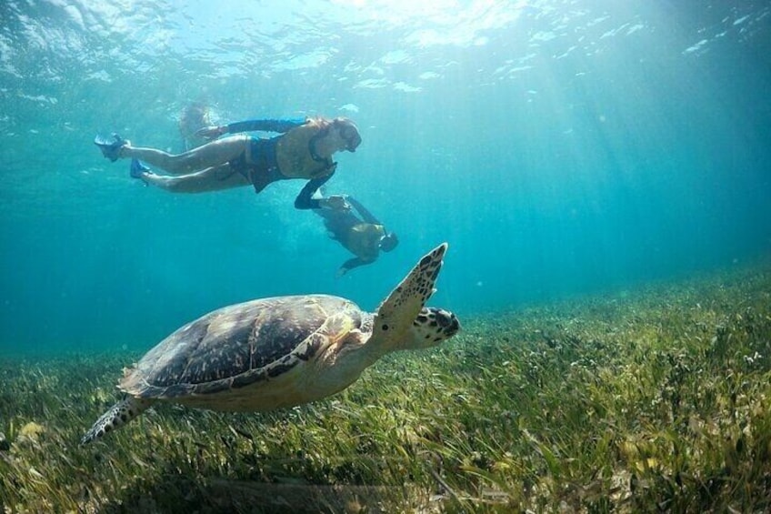 Cancun 3 in 1 Combo Adventure: Snorkeling, Parasailing & Jetski