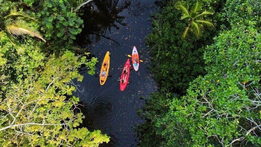 kayaking on the river looking for sloths