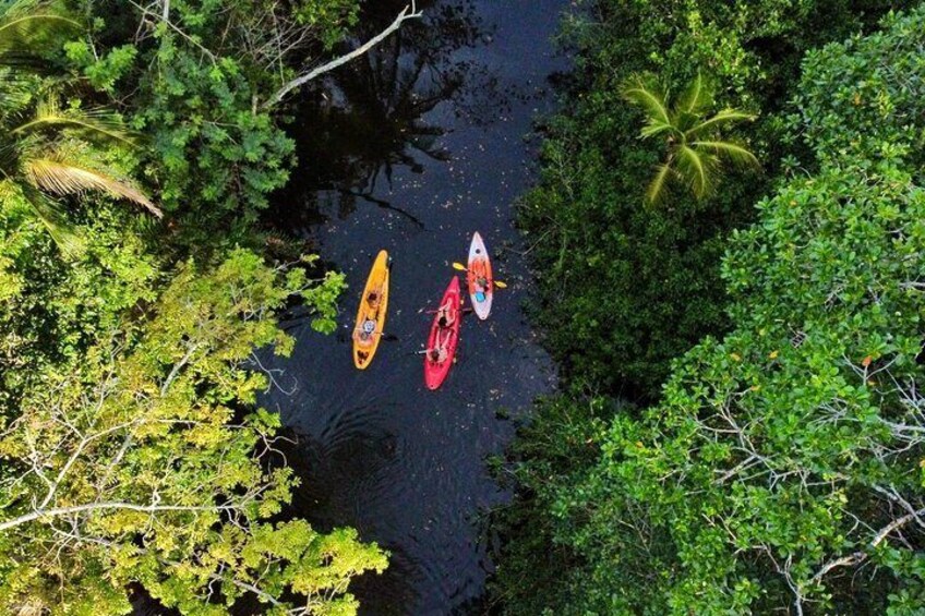 kayaking on the river looking for sloths