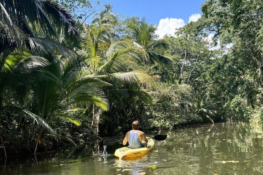 Animal Adventure in the Jungle with Kayak in the River and in the Sea