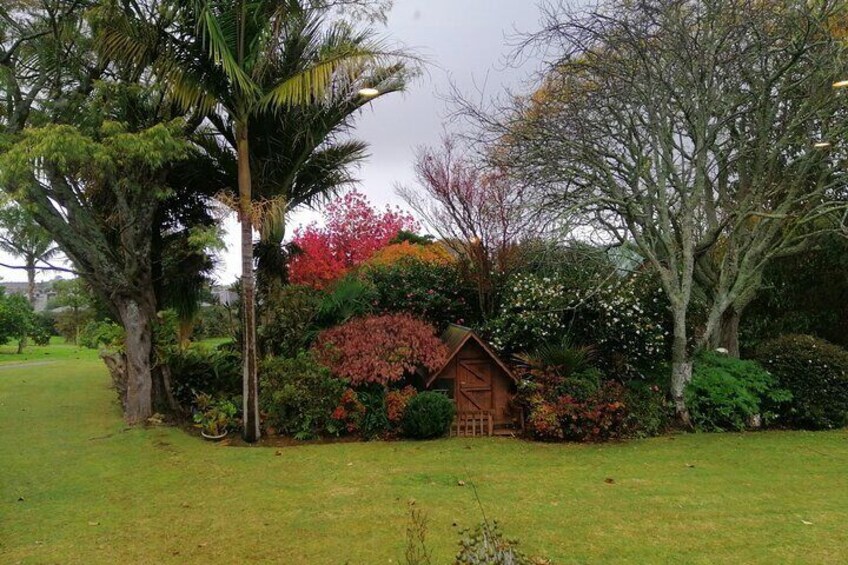 Garden Views