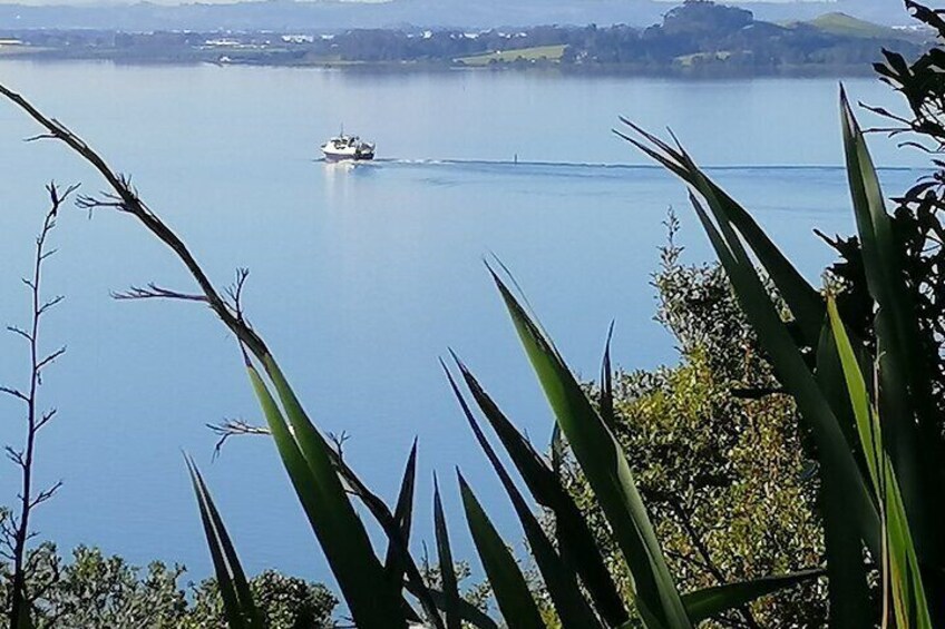 Harbour Views