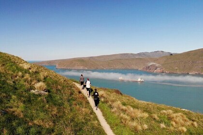 Lyttelton Shore Excursion - Guided Walking Tour and Picnic