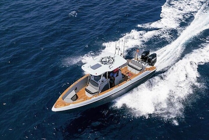 4 Hour Private Sports Fishing Charter in Maldives