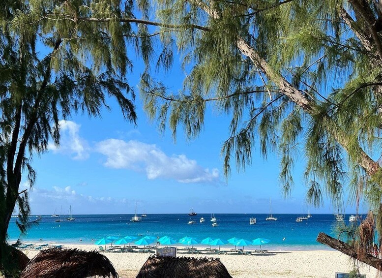 Picture 2 for Activity Shuttle to Carlisle Bay inclusive of beach chair