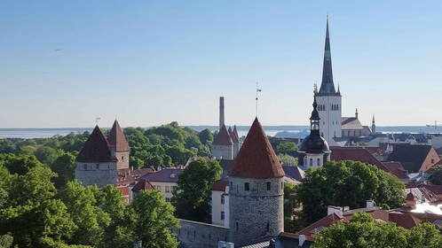 Tallinn City Private Tour