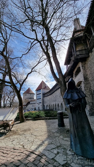 Picture 5 for Activity Tallinn City Private Tour