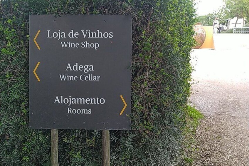 Tour 3 Wineries with wine tasting in Lisbon in the Setúbal region