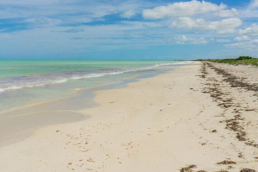 Adventure in Coloradas and Ría Lagartos and Cancunito