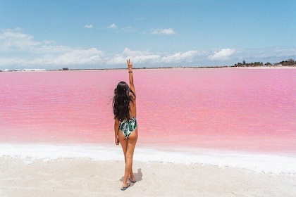  Aventura en Coloradas y Ría Lagartos y Cancúnito