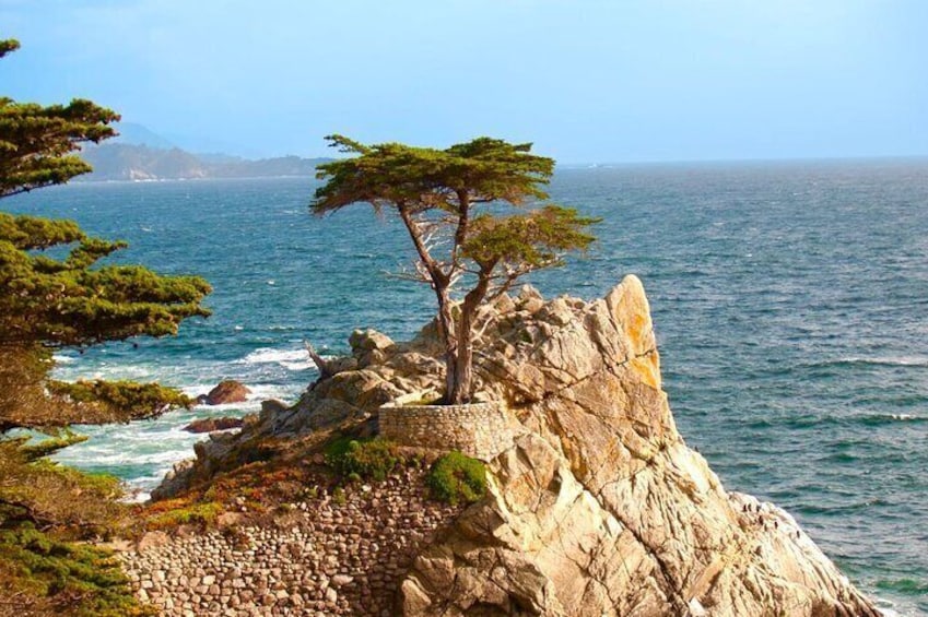 Monterey, Carmel, 17 Mile Drive, Rocky Point 6 hrs from Monterey