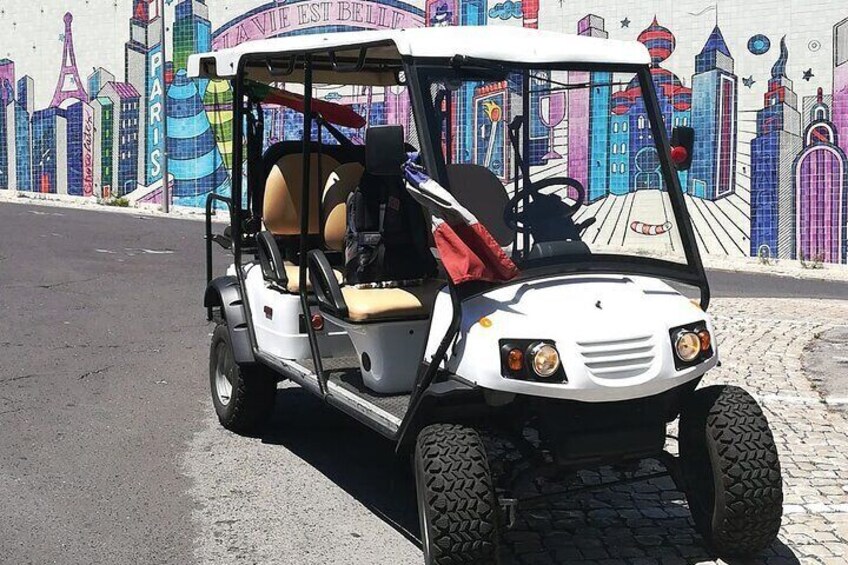 2 Hour The Narrow Streets of Alfama Private Guided Tour