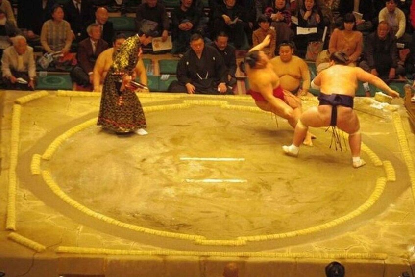 Picture 5 for Activity Fukuoka: Sumo Tournament Tour with Chair Seat Tickets